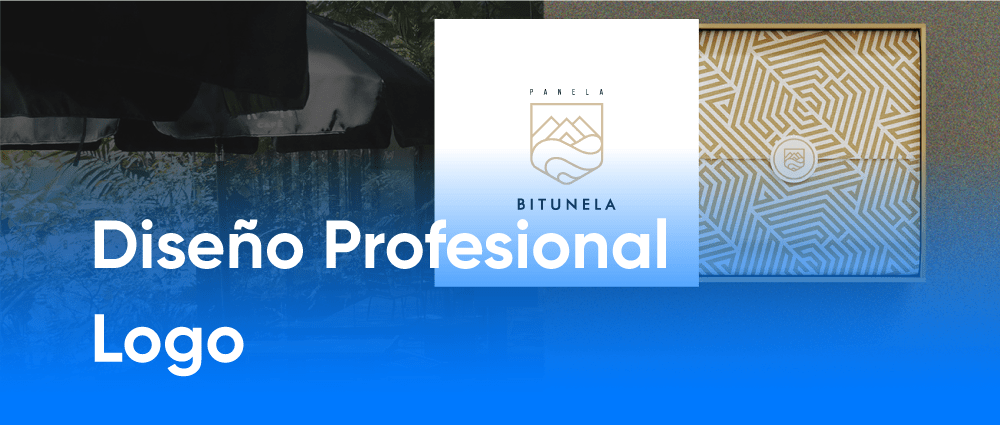 Diseño Profesional de Logo